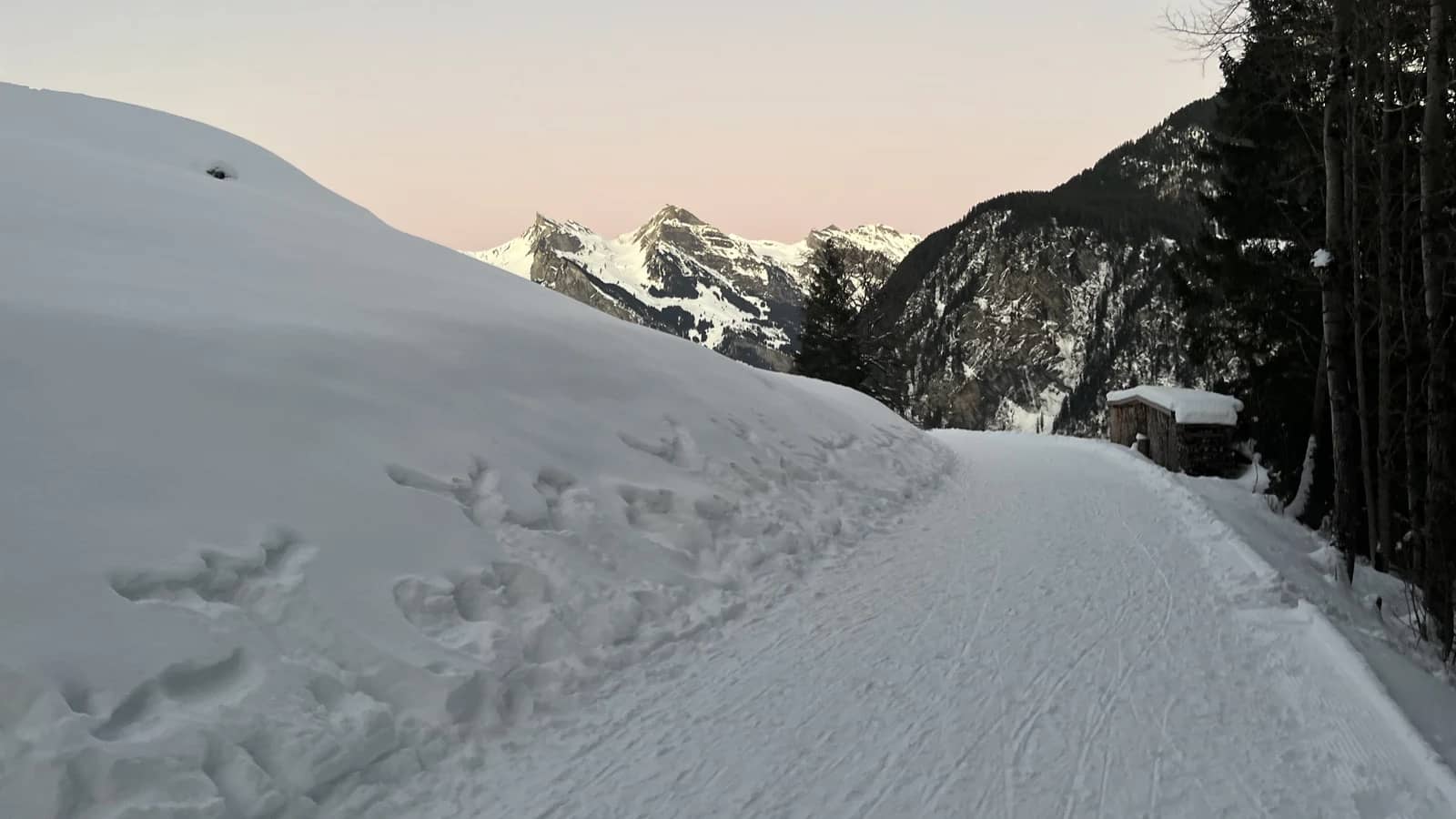 Schneeschuhlaufen für Anfänger: Schritte vom Guide