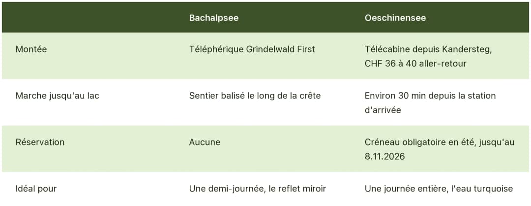 Tableau comparant le Bachalpsee et l'Oeschinensee près d'Interlaken : montée, marche, réservation et pour qui