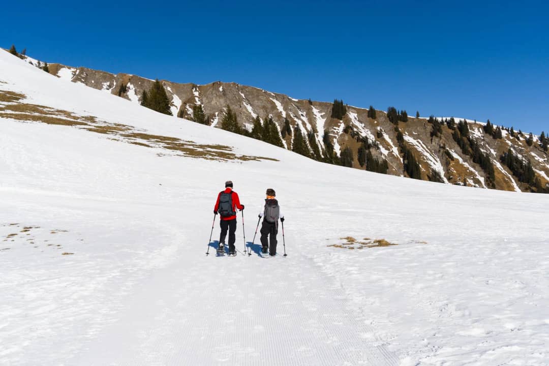 Two snowshoers cross a sunny Swiss Alps slope where the snow is thin and patches of grass show through