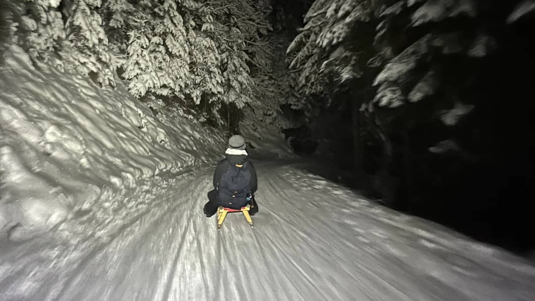 Persona en un trineo de madera baja por una pista nevada del bosque de noche, iluminada por la linterna frontal del guía