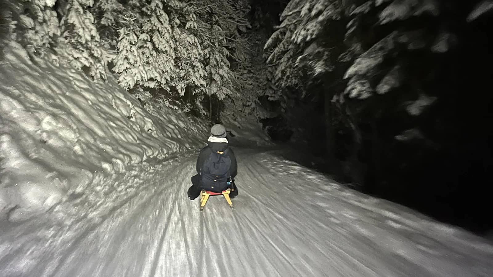 Trineo en Interlaken: ¿con guía o por su cuenta?