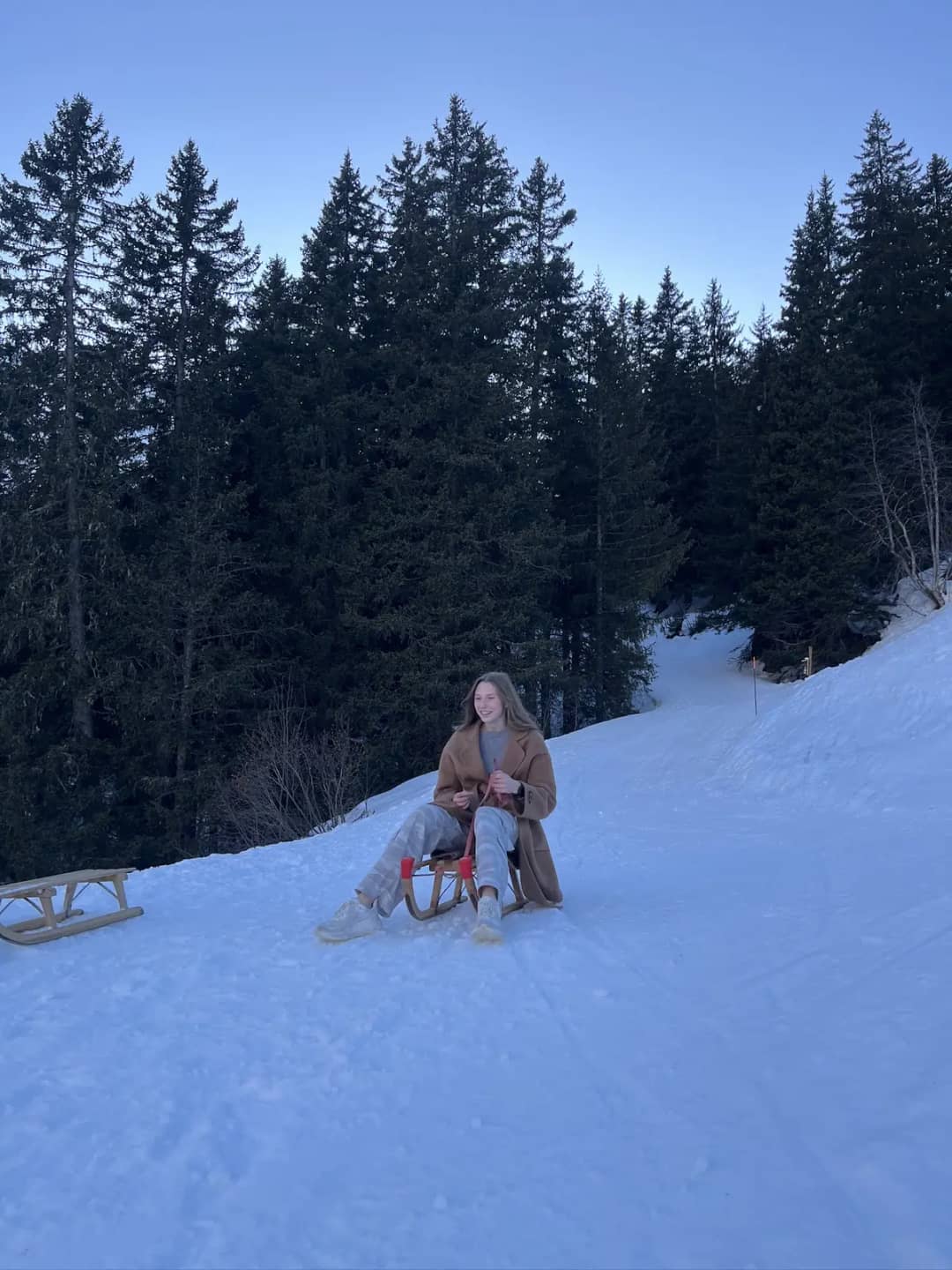 Clienta sentada en un trineo de madera en una ladera nevada bajo abetos en Mürren, en un tour de trineo con guía