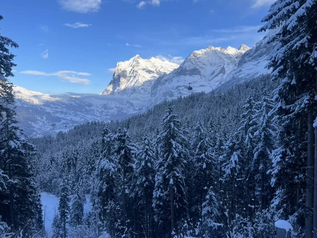 El Wetterhorn al sol y la telecabina de First sobre un bosque nevado en sombra en Grindelwald, en diciembre