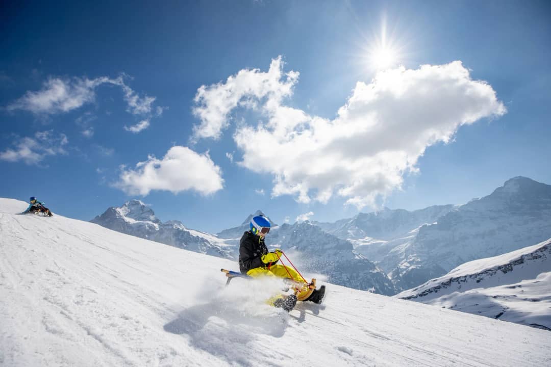 Familia en trineo bajando del Faulhorn hacia Bussalp, con nieve saltando del trineo y el Eiger detrás