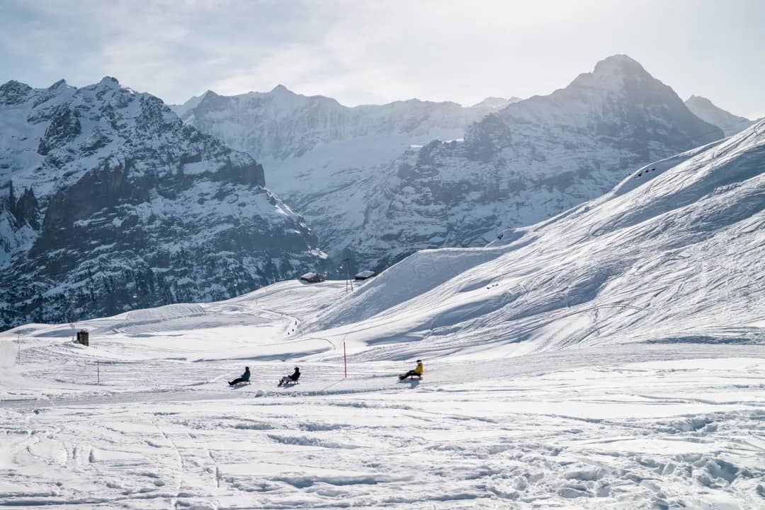Tres personas en trineo, lejos, en la ancha pista nevada número 53 de Grindelwald First hacia Schreckfeld