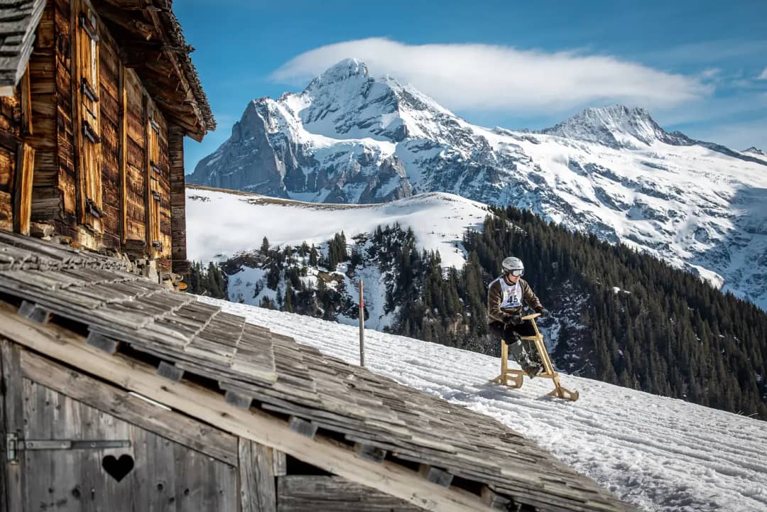 Fahrer auf einem Velogemel-Schneevelo im Rennen an einer Alphütte auf der Bussalp über Grindelwald